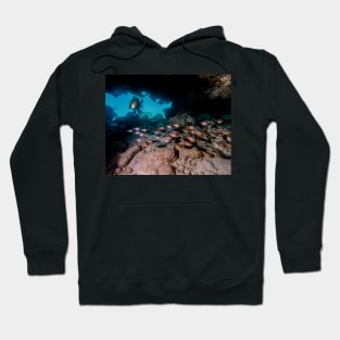 Diver in Cavern With School of Fish Hoodie